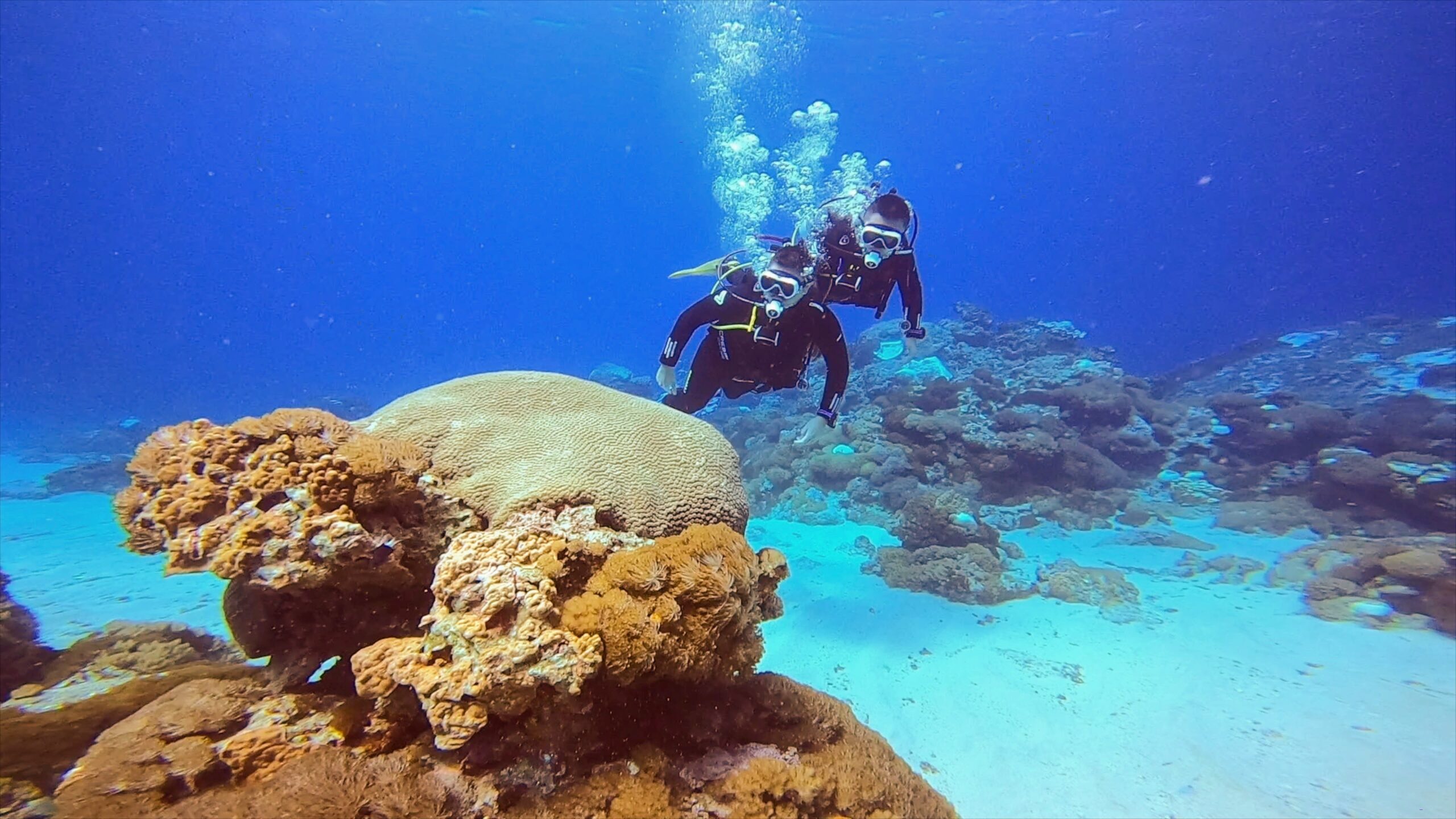 潛水之路的開端，讓我們一起成為潛水員吧 – 綠島