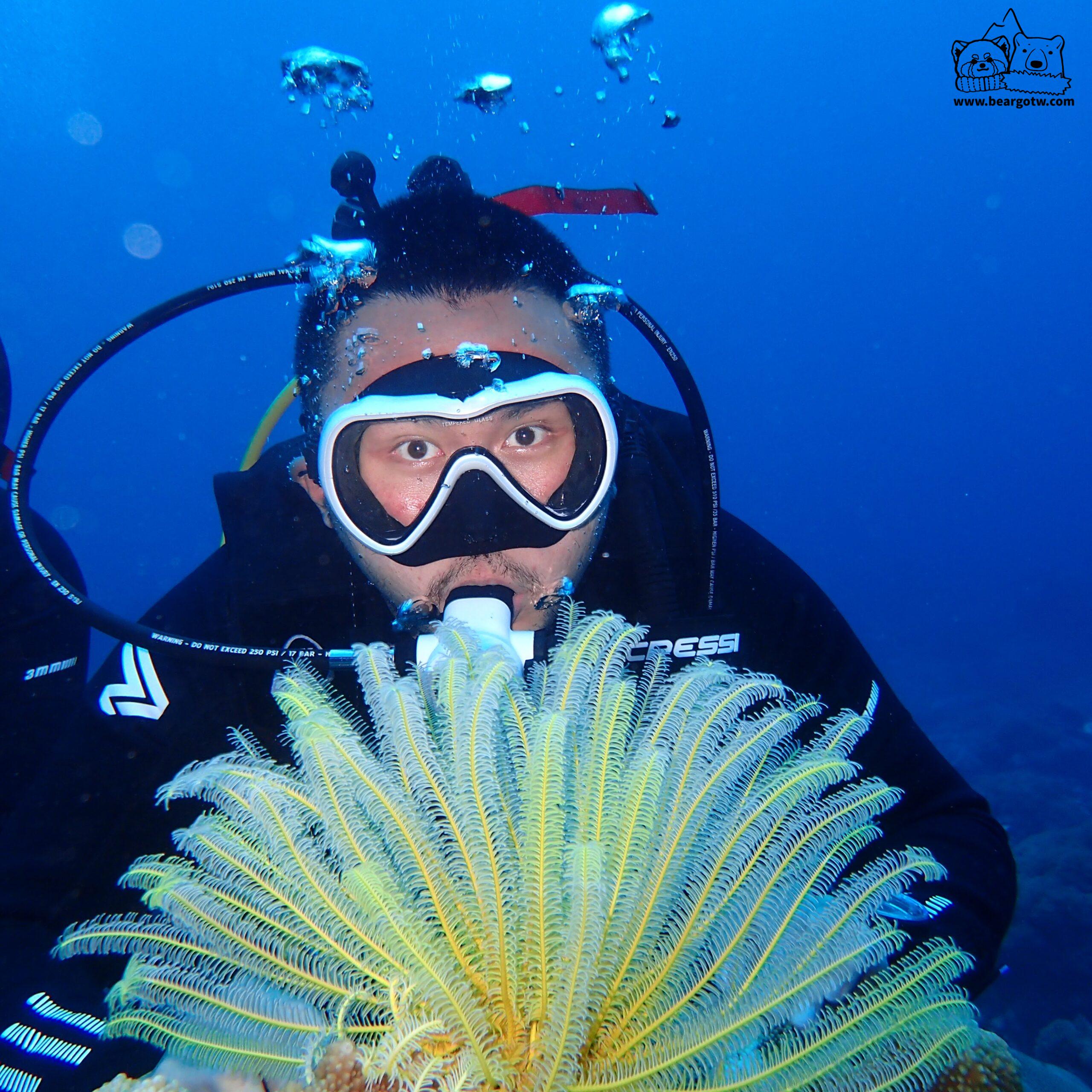 第4支 Fun Dive，遇到一隻害人的大海螺！ 綠島潛水