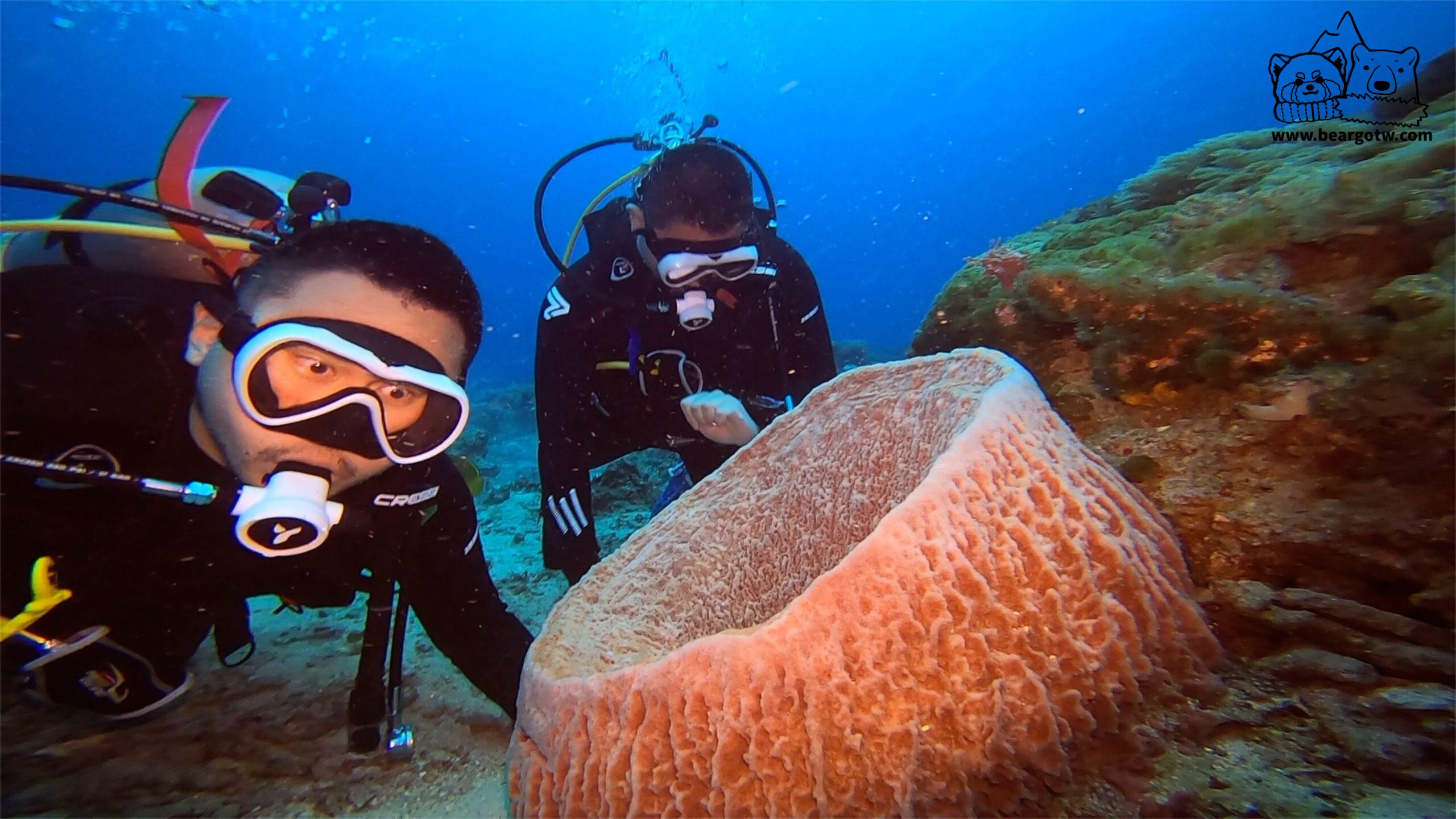 綠島 Fun Dive 第七隻，被海膽咬好痛 （淚水