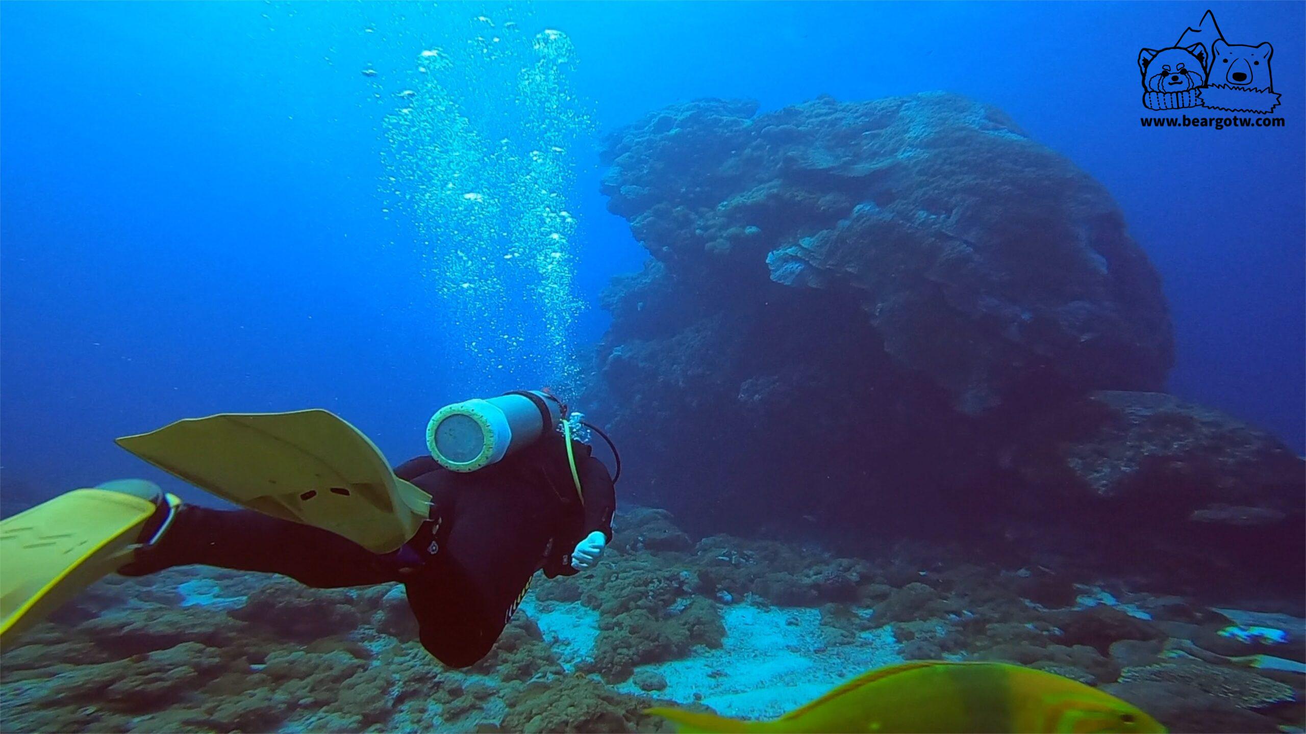 綠島潛點～前進綠島大香菇！世界最大的單體珊瑚！No.1 － 綠島潛水